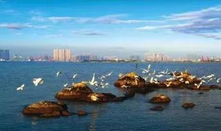 双喜临门是哪个城市