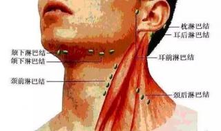耳朵后面长了个包怎么回事