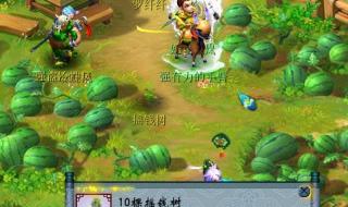 梦幻西游摇钱树苗怎么种