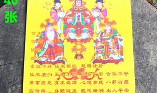 六月六是仙家的什么日子