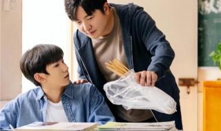追光的日子30集免费观看